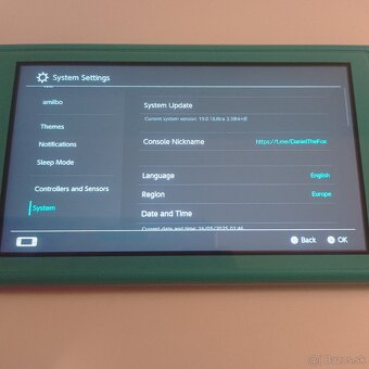 Nintendo Switch Lite 128gb CFW AMS - 6