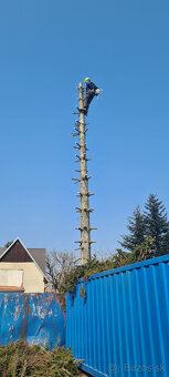 Pilenie a orezavanie stromov - rizikove - 6
