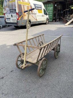 Menší rebriňák - 6