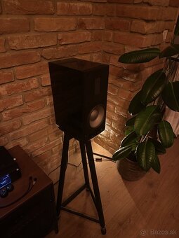 Reproduktory Raidho Acoustics X1T - 6