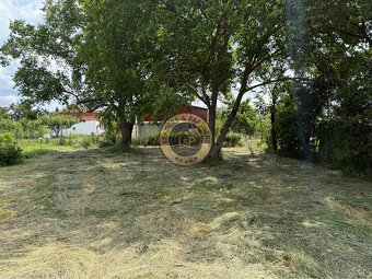 Pozemok na výstavbu, Košice - Okolie, Seňa, všetky IS - 6