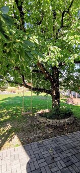 Výnimočná ponúka domu v ZM - 6