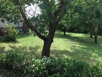 Predám záhradu – ideálna lokalita pri rybníku, Šaštín Stráže - 6