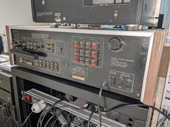 Pioneer blue line - 6