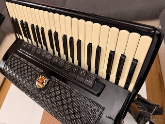Predám Royal standard Montafana - 6