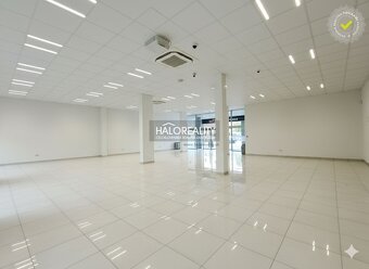 HALO reality - Prenájom, polyfunkcia/obchodné priestory Krup - 6