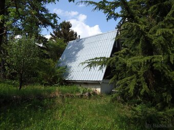 Záhrada nad Dubčekovou ulicou NMnV - 6