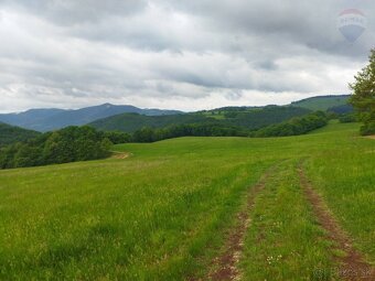 Znížená cena - Predaj pozemku 4708 m2, Budička pri Zvolene - 6