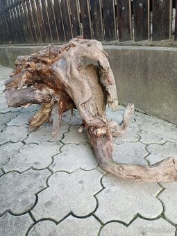 Predám koreň do akvária terária paludária, do skalky - 6