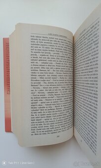 Lars Saabye Christensen - Nevlastný brat - 6