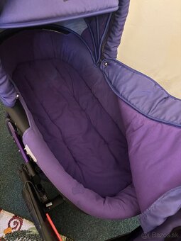 Kocik Tako laret - 6