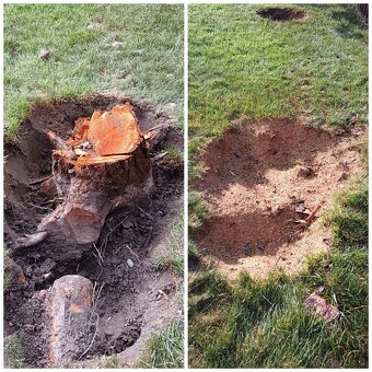 Frézovanie pňov a výrub - 6