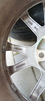 Spider r16 - 6