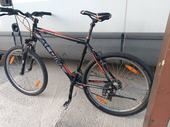 Alpina 19.5" - 6
