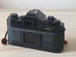 Canon A-1 FD 50mm f1.8 + Sigma YS 100mm f2.8 macro - 6