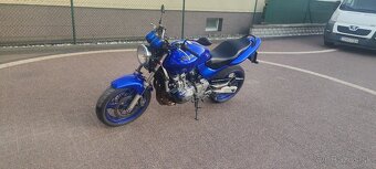 Honda Hornet 600 - 6