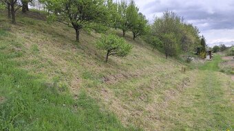 Zahradka 502 m2 - 6