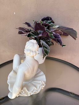 Predam keramicku sošku baletka Jihokera - 6