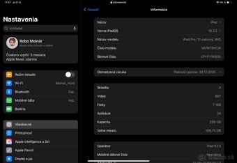 iPad Pro 11" Wi-Fi + Cellular 256GB M4 - 6