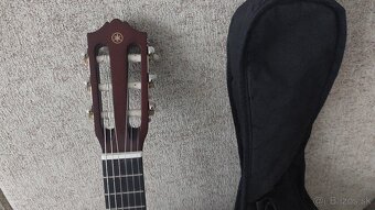 Predam Guitalele - 6