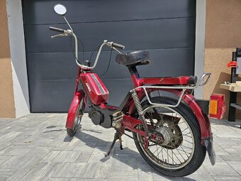 Babetta - 6