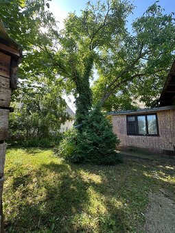 Veľkorysý pozemok 4543 m2 so starším RD - investícia - 6