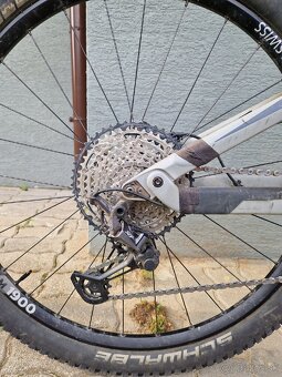 Canyon neuron 7 - 6