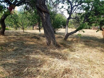 Na predaj investičný pozemok "záhrada" o výmere 691 m2 - 6