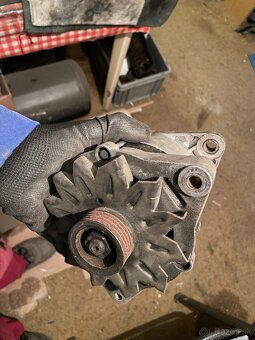 Felicia favorit diely - 6