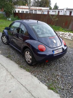 New Beetle - 6