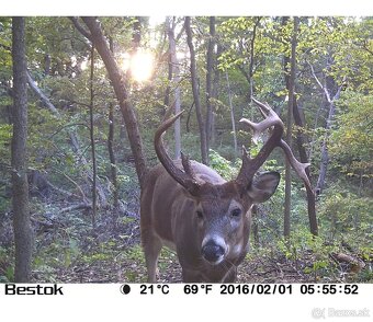 Predám fotopascu BearStep. Model M 330 - 6