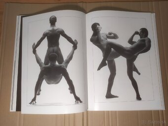 Ľubo Špirko - Tvár tela, Body look - 6