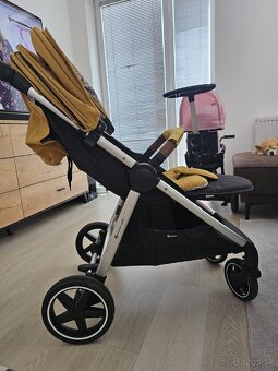 Petite&Mars royal - 6