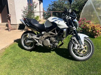 Aprilia - 6