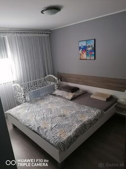 3-IZBOVÝ BYT - PRAŠICE (TOPOĽČANY) - 6
