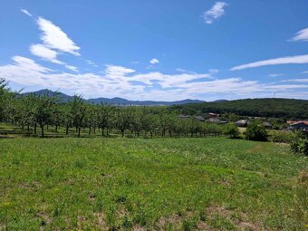 Slnečný pozemok v tokajskej oblasti 1500m2 - 6