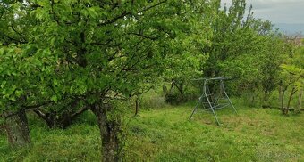 Záhradka v Novom Meste nad Váhom - 6