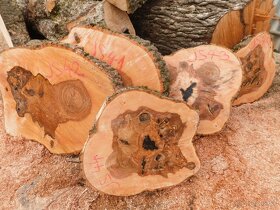 Koláče -  orechové drevo, fošne, rezivo - 6