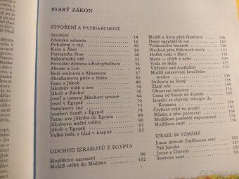 Biblie pre deti ilustrovana - 45 eur - 6