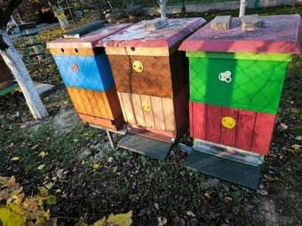 Včelstvo, včely, kompletné príslušenstvo včelára - 6