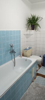 Ubytovanie Dolná Tižina - 6