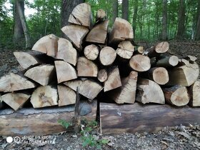 Palivové drevo Metrovica - 6