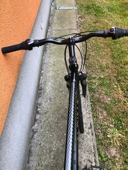 Kellys ALPINA ECO C10 - 29'' - L - 6