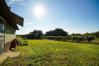 Na predaj pivničný dom v obci Svätý Peter - 6