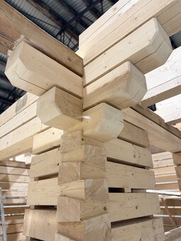 Predam skelet zrubovej drevenice - 6