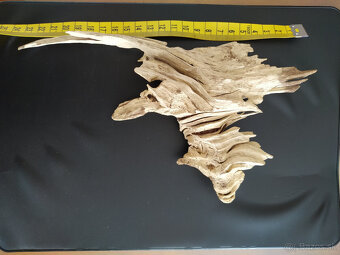 Samorast / Paroh - 6