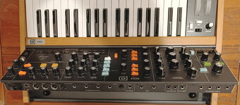 PREDÁM "MOOG" BEHRINGER POLY D STAV NOVÝ - 6