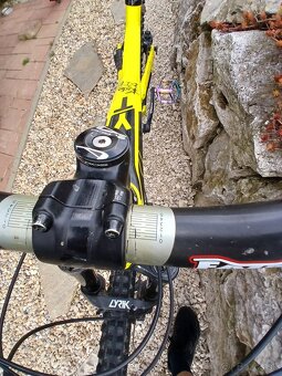 Yt Capra cf 2017 - 6