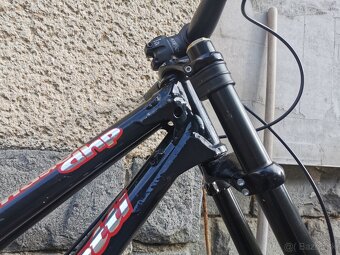 Ancillotti Tomaso DHP - 6