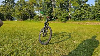 Dirt bike Kellys Whip 70 - 6